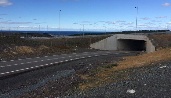 Highway Cross - Kuzey Marmara Otoyolu